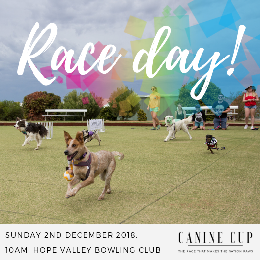 Adelaide-Canine-Cup-Races-Filming-December-2018-Announcement.png#asset:46500
