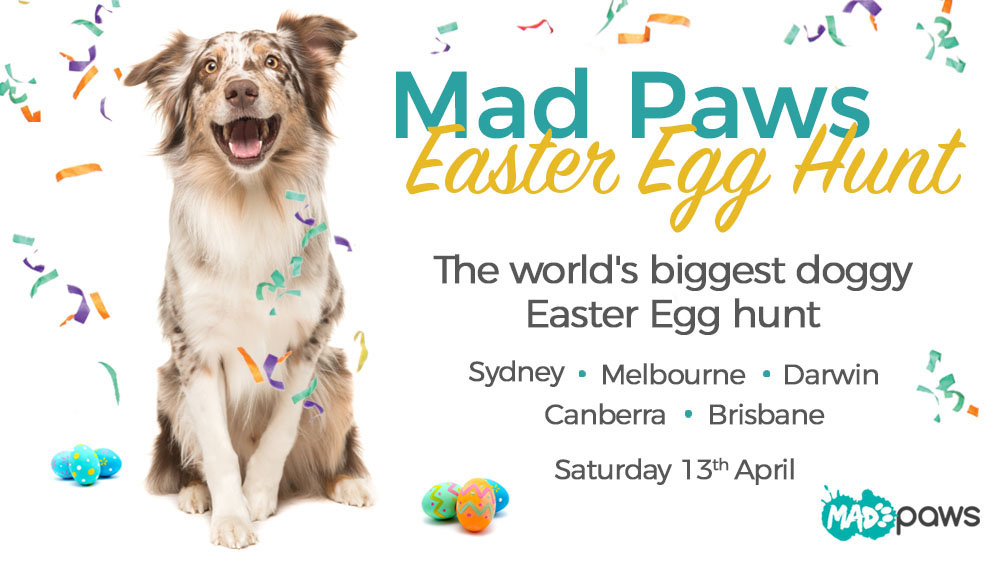 Mad-Paws-Easter-Egg-Hunt-2019-National-April-13.jpg#asset:47706