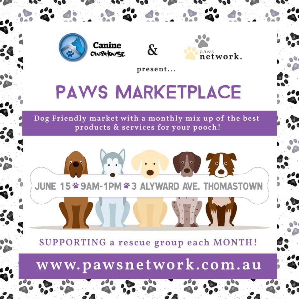 paws-marketplace-5.jpg#asset:48776