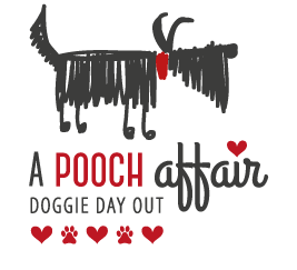 pooch-affair-doggy-day-out-3.png#asset:48774