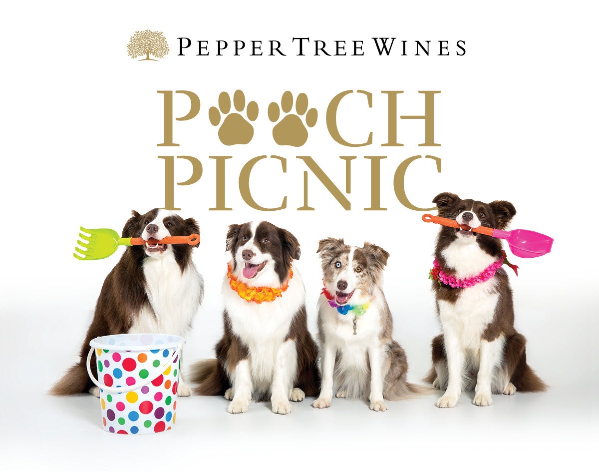 pooch-picnic-1200-001.jpg#asset:43584